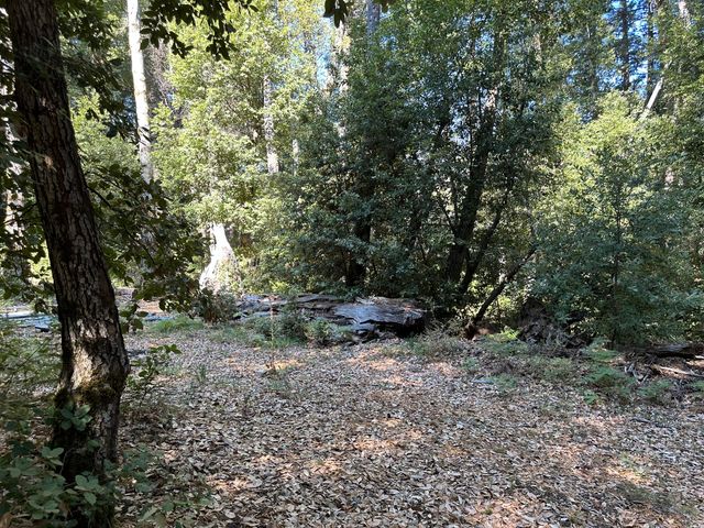 4840 Doody Ridge Road, Ettersburg, CA 95542