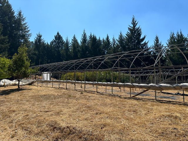 4840 Doody Ridge Road, Ettersburg, CA 95542