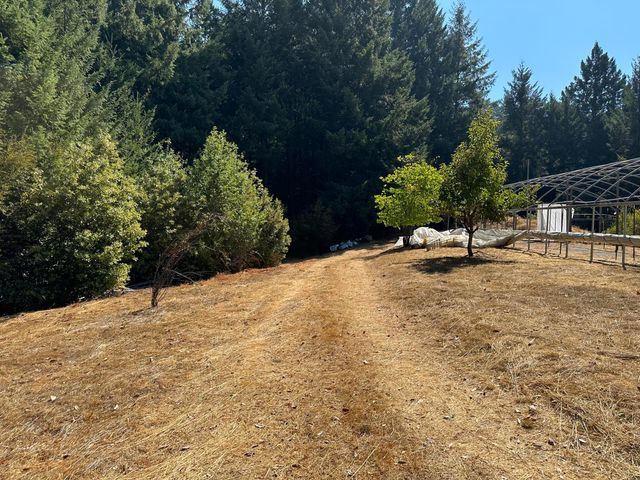 4840 Doody Ridge Road, Ettersburg, CA 95542