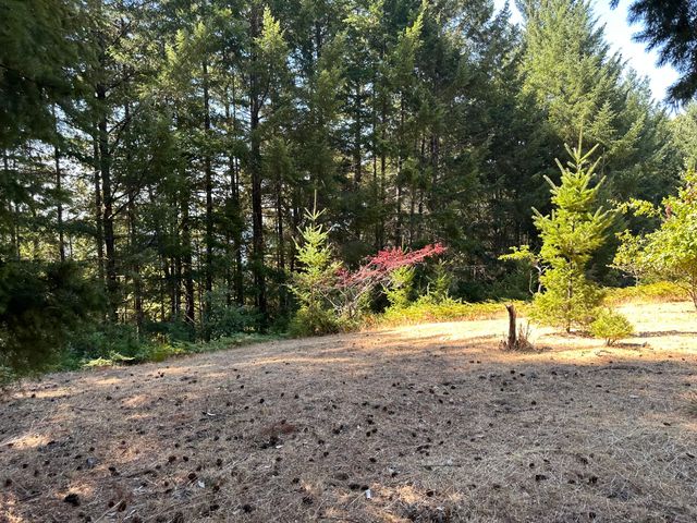 4840 Doody Ridge Road, Ettersburg, CA 95542