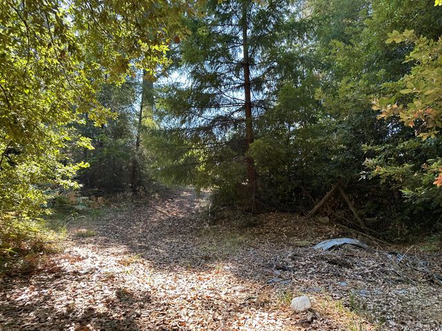 4840 Doody Ridge Road, Ettersburg, CA 95542