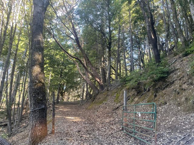 4840 Doody Ridge Road, Ettersburg, CA 95542