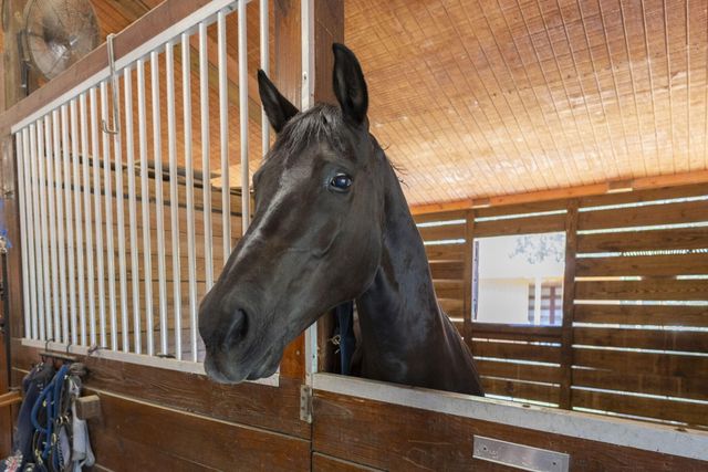 852 Cindy Drive, Wellington, FL 33414