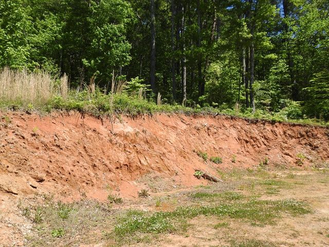 9503 Tails Creek Road, Ellijay, GA 30540