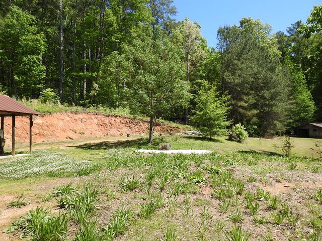 9503 Tails Creek Road, Ellijay, GA 30540
