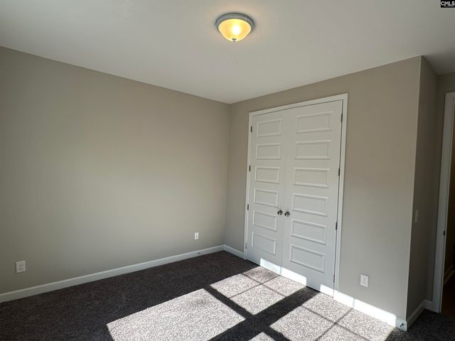 322 Rising Stream Way, Chapin, SC 29036