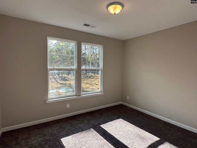 322 Rising Stream Way, Chapin, SC 29036