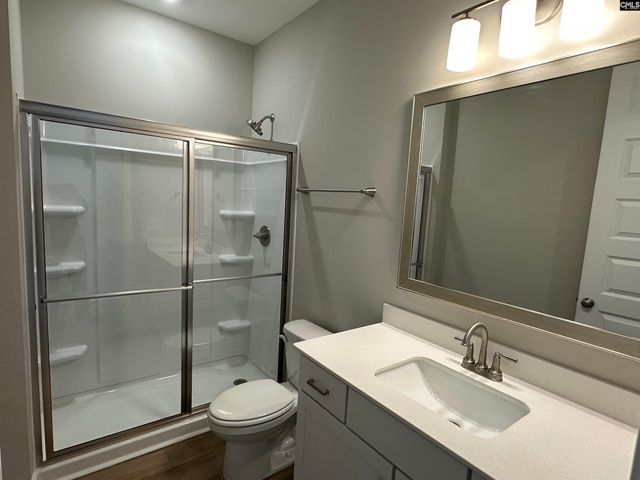 322 Rising Stream Way, Chapin, SC 29036