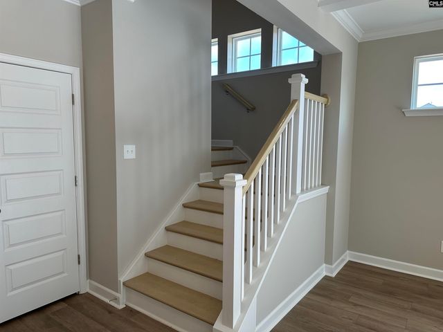 322 Rising Stream Way, Chapin, SC 29036