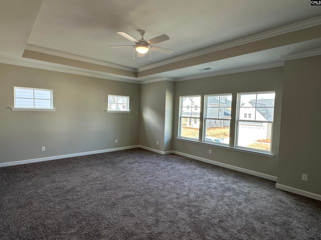 322 Rising Stream Way, Chapin, SC 29036