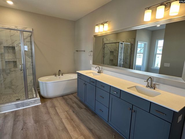 322 Rising Stream Way, Chapin, SC 29036