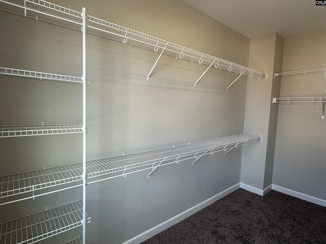 322 Rising Stream Way, Chapin, SC 29036