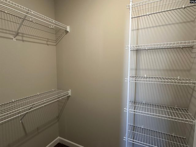 322 Rising Stream Way, Chapin, SC 29036