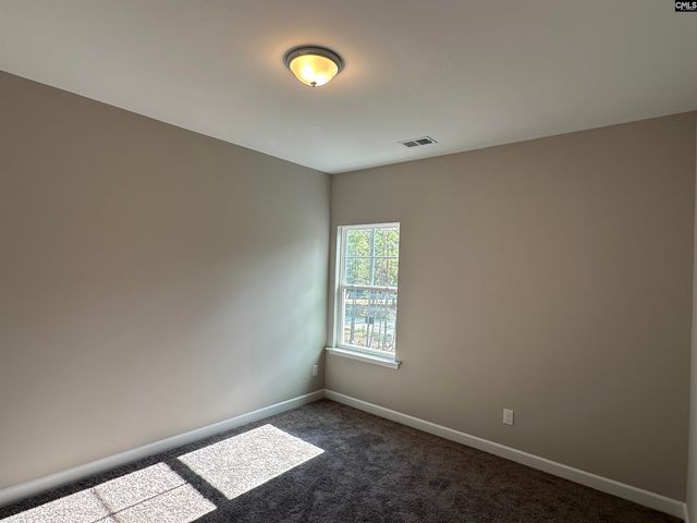 322 Rising Stream Way, Chapin, SC 29036