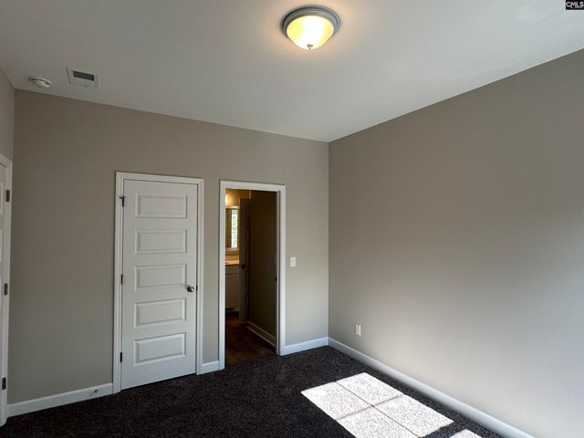 322 Rising Stream Way, Chapin, SC 29036