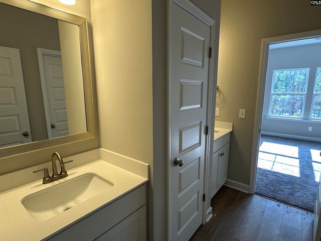 322 Rising Stream Way, Chapin, SC 29036