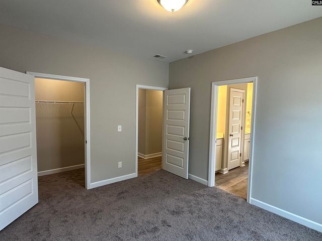 322 Rising Stream Way, Chapin, SC 29036