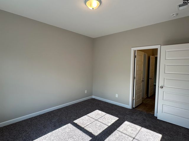 322 Rising Stream Way, Chapin, SC 29036