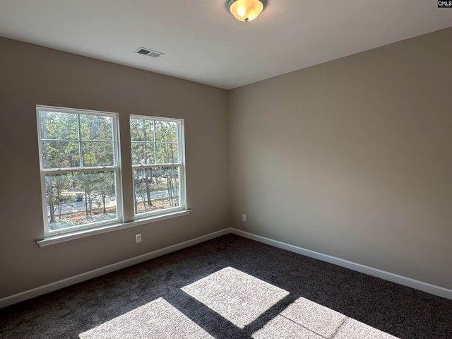 322 Rising Stream Way, Chapin, SC 29036