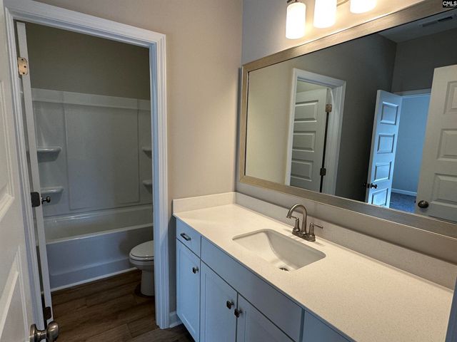 322 Rising Stream Way, Chapin, SC 29036