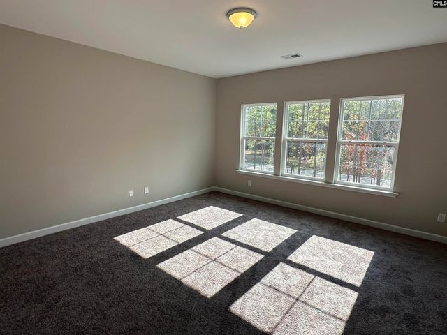 322 Rising Stream Way, Chapin, SC 29036