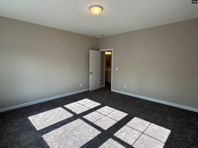 322 Rising Stream Way, Chapin, SC 29036