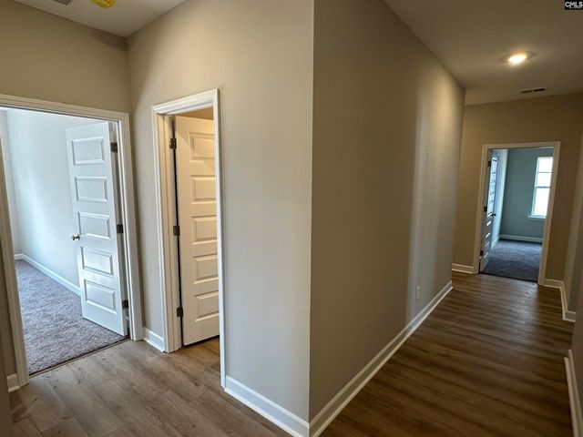 322 Rising Stream Way, Chapin, SC 29036