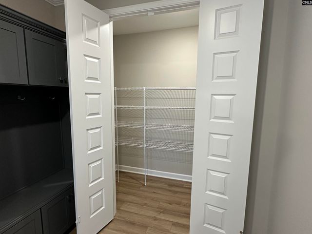 322 Rising Stream Way, Chapin, SC 29036