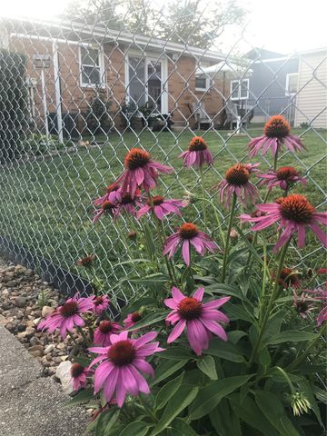 2461 Teresa Dr SW, Cedar Rapids, IA 52404