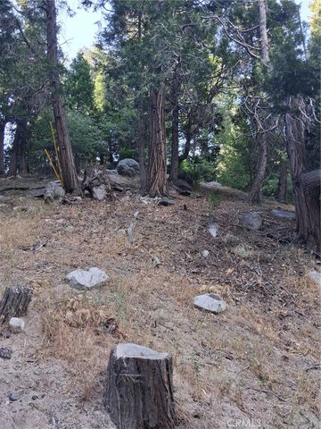 6 Finhaut Drive, Crestline, CA 92325