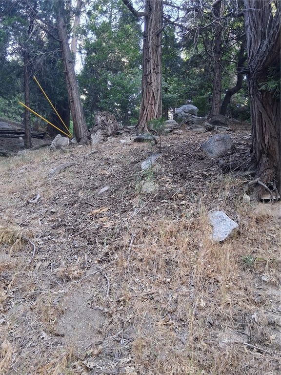 6 Finhaut Drive, Crestline, CA 92325