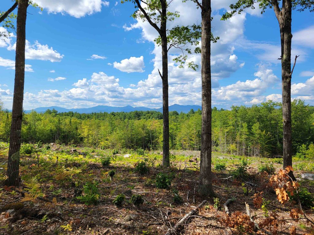 238-1-1.2 Maple Grove Road, Madison, NH 03849