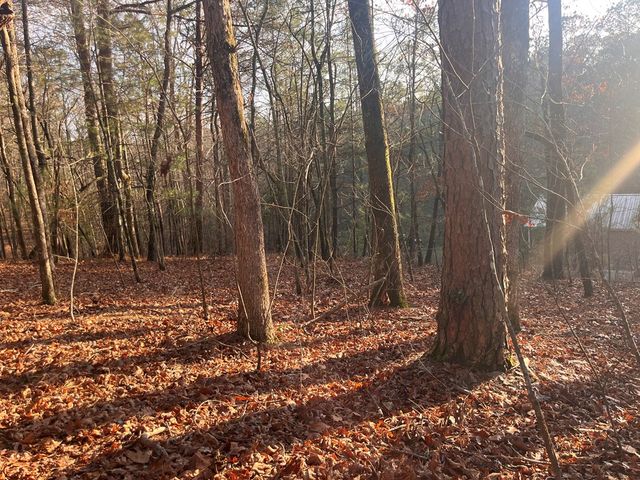 615 Gunstock Creek Lane, Ellijay, GA 30540