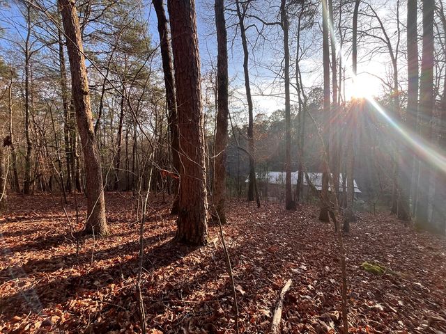 615 Gunstock Creek Lane, Ellijay, GA 30540