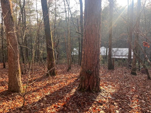 615 Gunstock Creek Lane, Ellijay, GA 30540