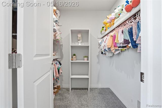 11963 Forest Brook Drive, Washington, MI 48094