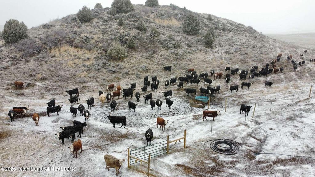 11248 W 5000, Tetonia, ID 83424 photo 25