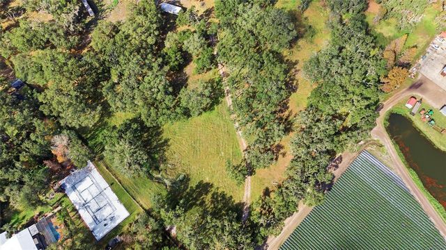 12454 BROWNS BERRY ROAD, Dover, FL 33527