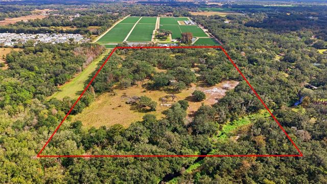 12454 BROWNS BERRY ROAD, Dover, FL 33527