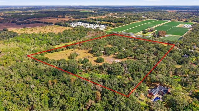 12454 BROWNS BERRY ROAD, Dover, FL 33527