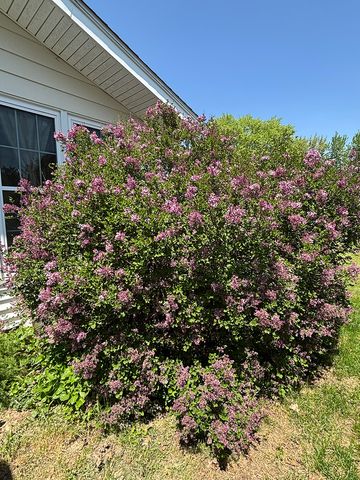 516 Christopher Street, Morrison, IL 61270