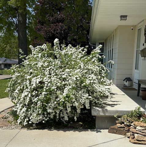 516 Christopher Street, Morrison, IL 61270