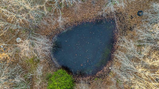 8244 County Road 8040, West Plains, MO 65775