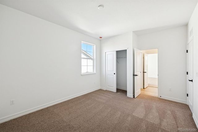 6114 Oban Road, Timnath, CO 80547