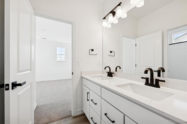 6114 Oban Road, Timnath, CO 80547