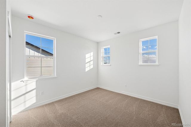 6114 Oban Road, Timnath, CO 80547
