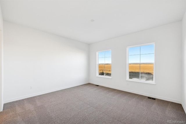 6114 Oban Road, Timnath, CO 80547