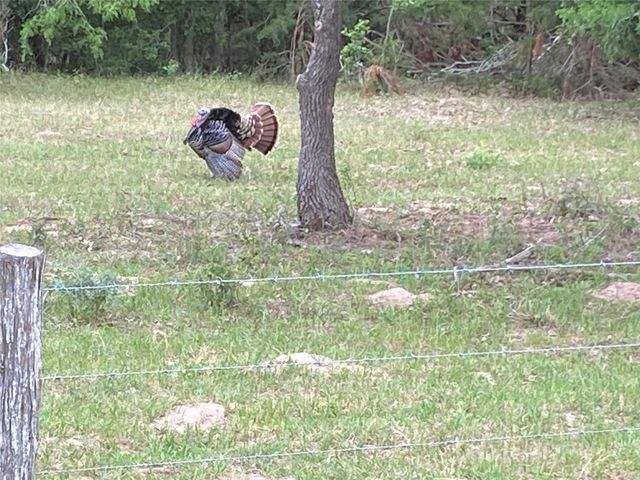 2810 West Old Lockhart Road Road W, West Point, TX 78963