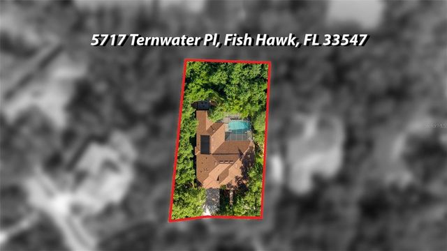 5717 TERNWATER PLACE, Lithia, FL 33547
