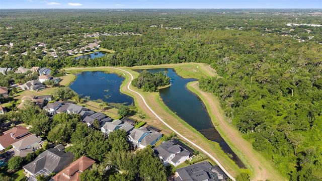 5717 TERNWATER PLACE, Lithia, FL 33547